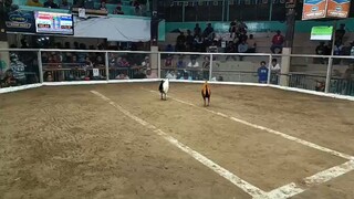 Kanawayon hatch one hit delete. 20 seconds finish.