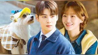 A Good Day to be a Dog Episode 20 Tagalog Dubbed