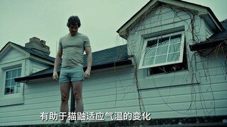 巴 尔 的 摩 野 生 动 物 园 （猫鼬高清纪录片）