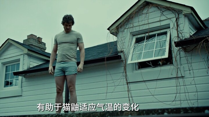 巴 尔 的 摩 野 生 动 物 园 （猫鼬高清纪录片）