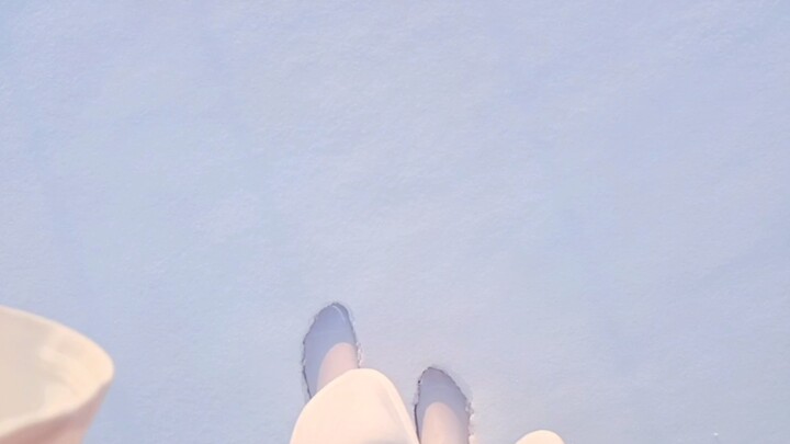 Pure White Snow and Sharky