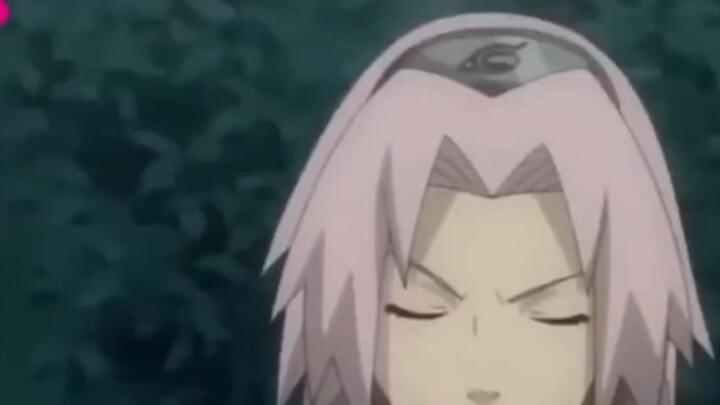 sakura marah