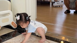 14个月幼崽申请出战过胶带挑战，这表现能不能上中山大学？