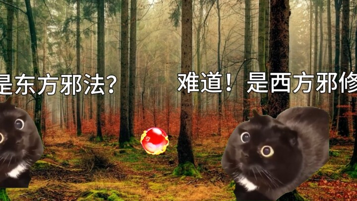当世界观不同但力量同源