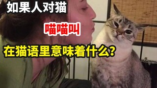 在猫语里，喵喵叫是什么意思呢？