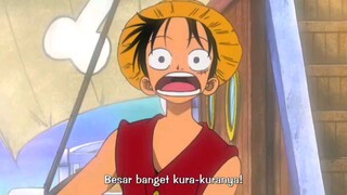 Luffy Masih Fokus Ngeliat Kura kura!