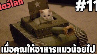 Ep11 เมื่อคุณให้อาหารเเมวของคุณน้อยเกินไป ( สัตว์โลกกวนตีน SS2 ) - พากย์นรก easy boy