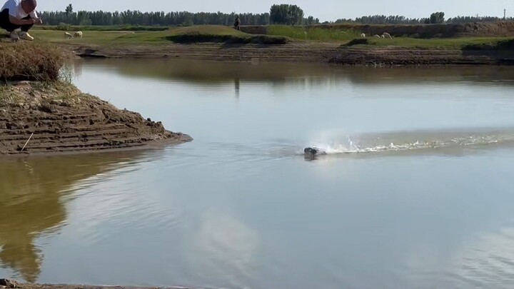 A compilation of those mistakes made on water！