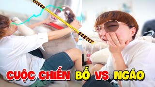 Thú Cưng Vlog | Ngáo Husky Troll Bố #11 | Chó thông minh vui nhộn | Smart dog funny pets