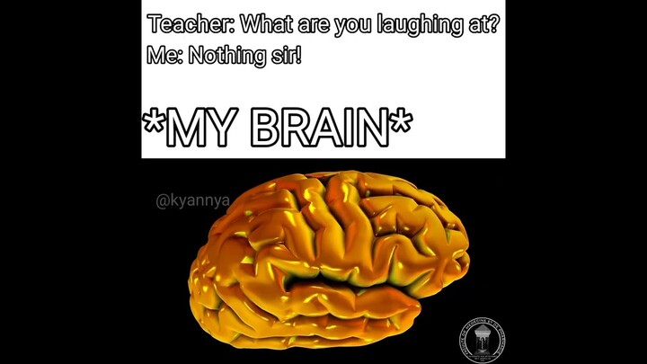 My brain