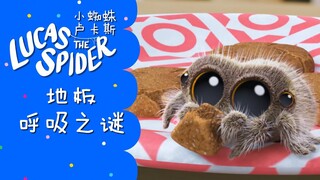 小蜘蛛卢卡斯：房子会呼吸？还把小狗狗的磨牙冰给吃了