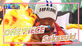 ONE PIECE|Sakazuki:Even if you three brothers came today, it is useless!