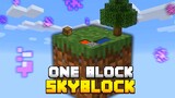 Minecraft Skyblock, But You Only Get ONE BLOCK