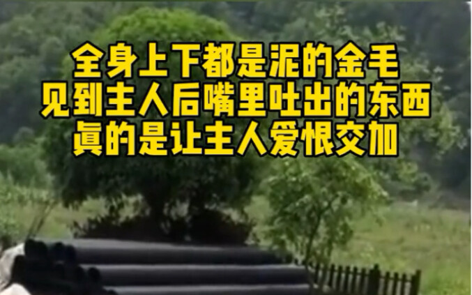 Ban đầu định đánh cho một trận, nhưng rồi nghĩ lại thôi.