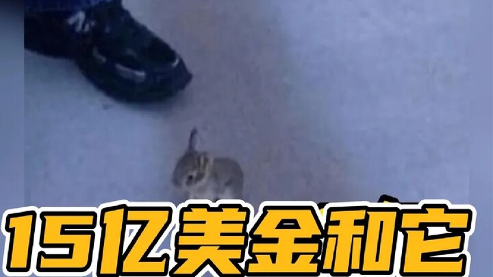 If I gave you $1.5 billion just for stepping on it, what would you choose?