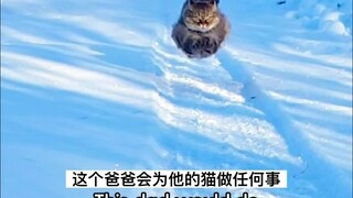 Race with the kitty, she'll leave you in the dust
