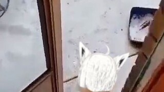 وقفت ما زيلي جانباً وشاهدت