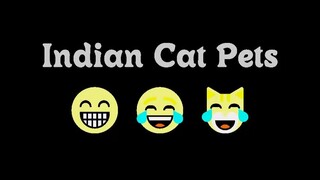 Untitled video - Made with Clipchamp (7)Indian Pets 🐈😻🐱‍👤 || Kashyap Cuts........... #pets #indi