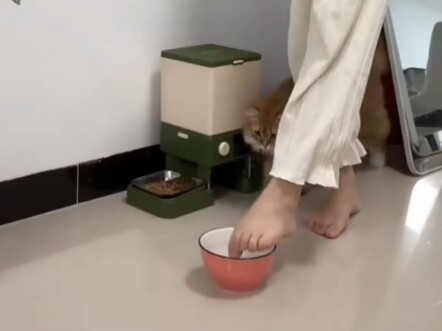 Do to her exactly what the cat did.