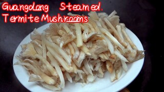 Guangdong—Steamed Termite Mushrooms