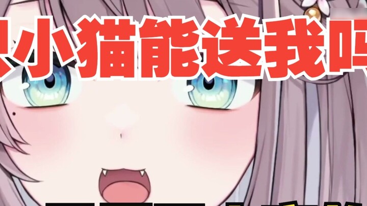 [Mitsuki Yu] Ketika seorang kolega Moe meminta kucing terbesar kepada kakak perempuan Jepang