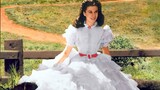 [Gone with the Wind] On how many beautiful little skirts Scarlett has