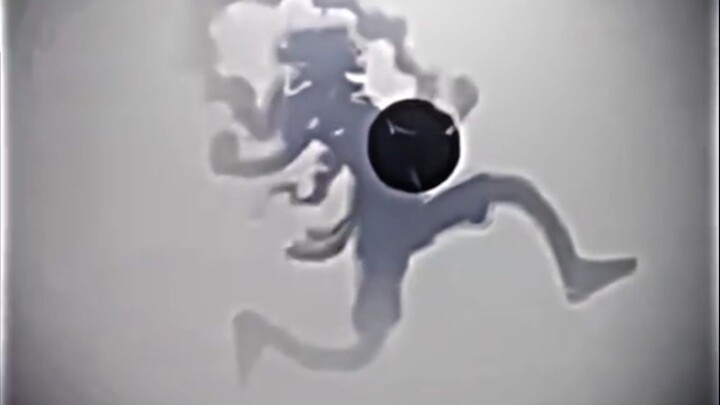 𝙇𝙐𝙁𝙁𝙔 𝙑𝙎 𝙆𝙄𝙕𝘼𝙍𝙐 𝙏𝙍𝘼𝙄𝙇𝙀𝙍
