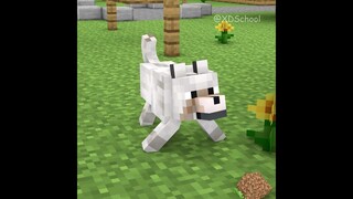 Poor Dog And Mikey - I'm So Sorry