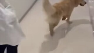 这麻药后劲有点大啊