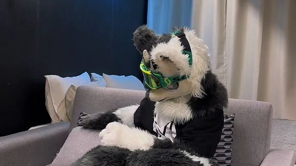 วันธรรมดาของเฟอร์รี่ ให้ภาพบรรยาย เอา