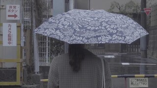 【翻唱】干花 /ドライフラワー【橘真白】