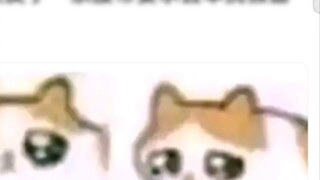 When you are given a belt and asked to fight Kamen Rider