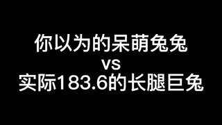 你以为很小，实际上大到超出你想象的兔兔