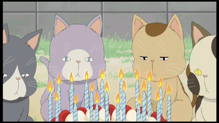 Kotaro Lives Alone Cute Heartwarming Scene - Birthday with cats