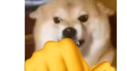 ไม่น่าจะใช่จริงๆ หรอกนะ "องค์หญิงใหญ่ หมดไอเดียแล้วเหรอ?