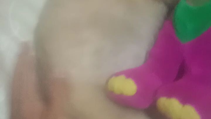 cute doggie..cant sleep without his favorite barney