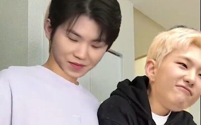 【SEVENTEEN】次 人 家 庭 弟 位