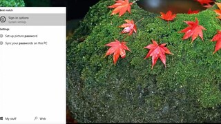 Cách hình thức tìm kiếm đa dạng trên Windows 10