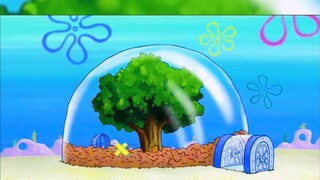 Many seaweed juice chain stores opened in Bikini Bottom, attracting customers from all over the city