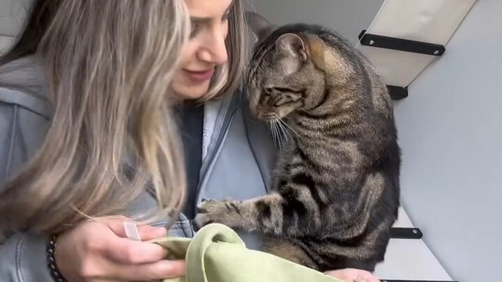 A super-obedient kitty who always listens to its owner—and a total mama’s boy!