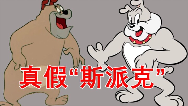 【Tom dan Jerry】Kehidupan dua Spikes di masa lalu dan sekarang