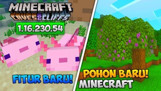 UPDATE! MCPE BETA VERSI TERBARU 1.16.230.54 - POHON BARU & FITUR BARU