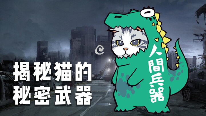 每只猫咪都有超能力