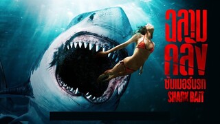 Shark Bait (2022) ฉลามคลั่ง ซัมเมอร์นรก