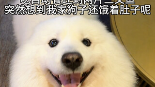 ซาลาเปาเนื้อ! แม่กลับมาจากล่าสัตว์แล้ว!