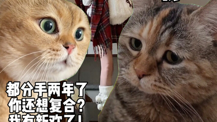 Laugh every time I watch it, hahaha!