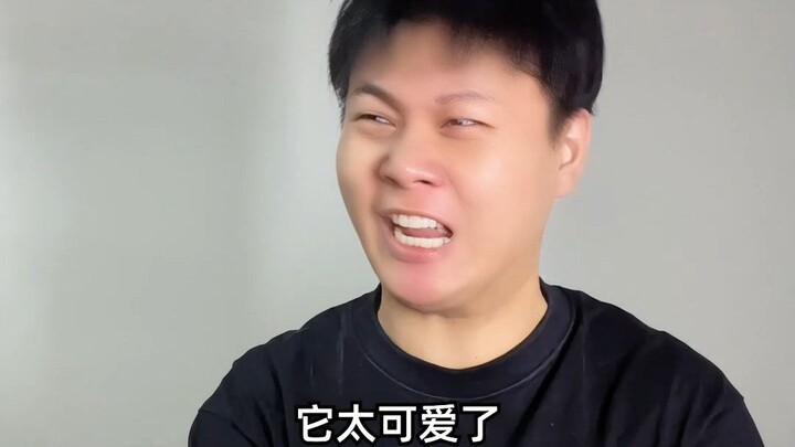 Hakimi: This video deserves three extra cans of cat treats! Modern people have some seriously weird 