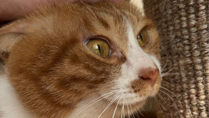 Keru Just Got Beaten Up!