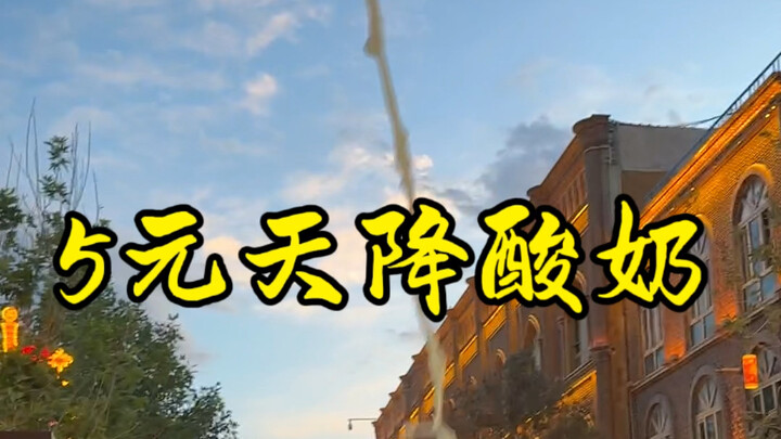 5元天降酸奶
