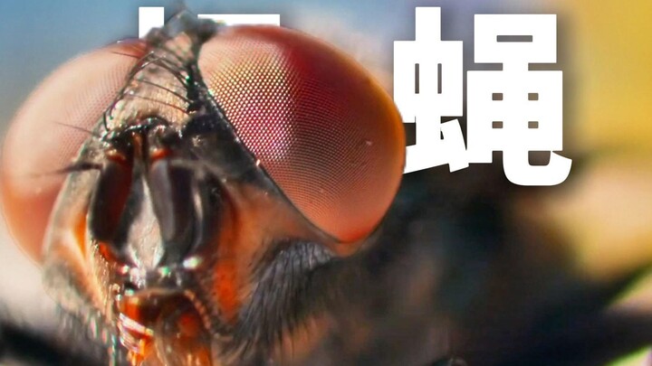 ไม่เป็นไร ลองเริ่มต้นใหม่ได้!